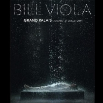 Exposition Paris - BILL VIOLA  - du 05/03/2014 au 21/07/2014 - Vidéo - Grand Palais (Le)