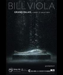 Exposition Paris - BILL VIOLA  - du 05/03/2014 au 21/07/2014 - Vidéo - Grand Palais (Le)