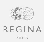 Hotel Regina - Paris